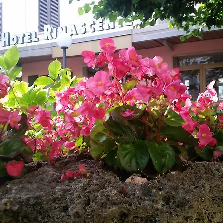 Rinascente