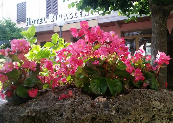 Rinascente
